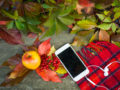 Mobile, apple and redberries on the floor