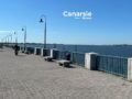 Canarsie News