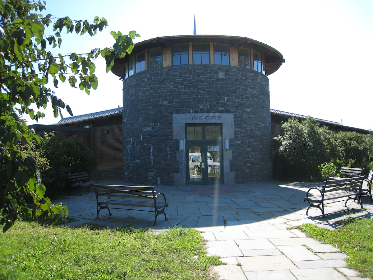Marine Park: Neighborhood Guide