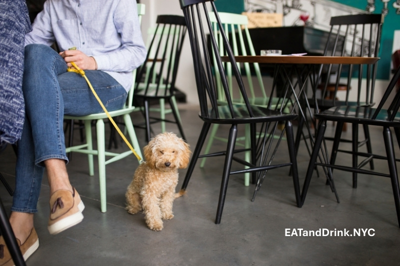 Top Pet-Friendly Restaurants in NYC