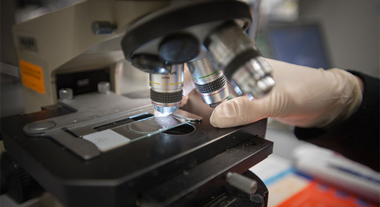 Mount Sinai Cancer Research Advances Colorectal Therapy