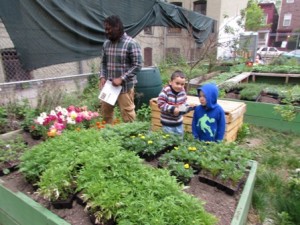 Bronx Veggie giveaway