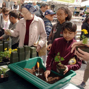GreenThumb Workshop Healthy Soil for Healthy Plants