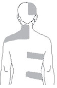 image-shingles-back