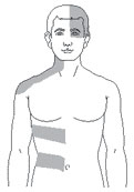 image-shingles-front